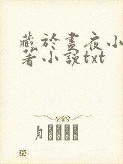 藏于昼夜小说原著小说txt