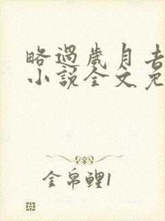 略过岁月去爱你小说全文免费阅读