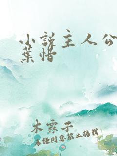 小说主人公林凡叶惜