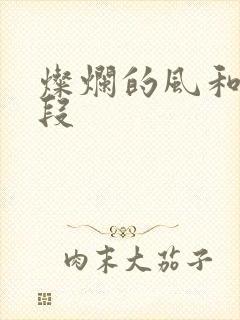 灿烂的风和海片段