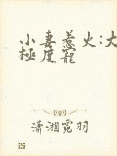 小妻惹火:大叔极度宠