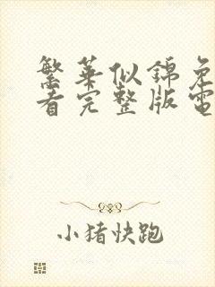 繁华似锦免费观看完整版电视剧高清