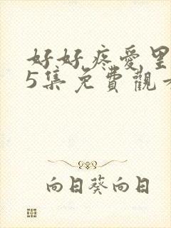 好好疼爱里面第5集免费观看