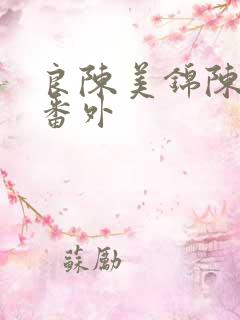 良陈美锦陈玄越番外