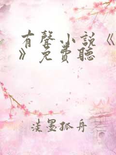 有声小说《对手》免费听