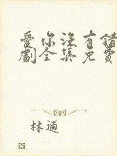 爱你没有错电视剧全集免费观看