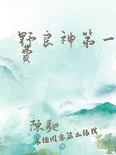 野良神第一季免费