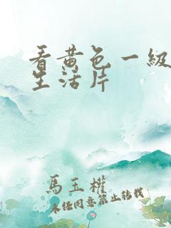 看黄色一级夫妻生活片