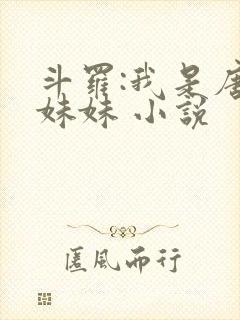 斗罗:我是唐三妹妹 小说