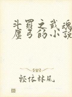 斗罗之武魂是银尘弓的小说