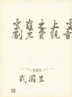 云巅之上 电视剧免费观看