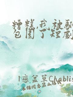 糟糕,我被驸马包围了短剧免费观看