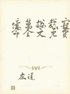 亿万总裁宠妻如命全文免费阅读