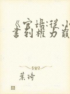 《官场:从小秘书到权力巅峰》