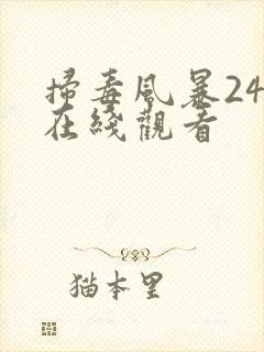 扫毒风暴24集在线观看