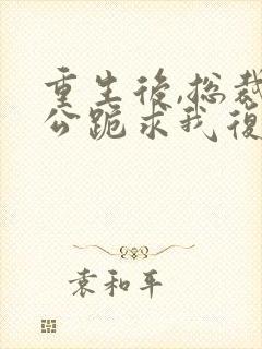 重生后,总裁老公跪求我复婚