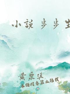 小说 步步生莲