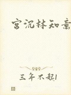 宫沉林知意结局