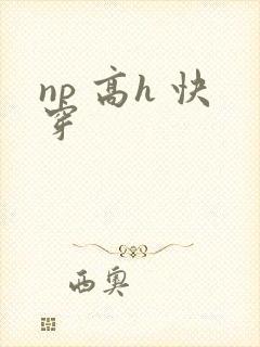 np 高h 快穿