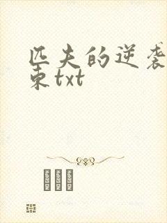 匹夫的逆袭刘汉东txt