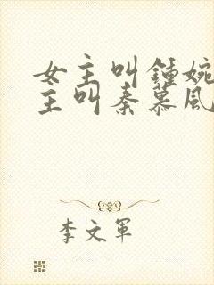 女主叫钟婉婉男主叫秦慕风的小说