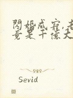 闪婚成宠,老公竟是千亿大佬 烦凡酱