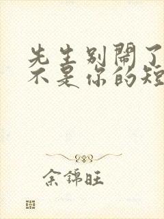 先生别闹了新娘不是你的短剧