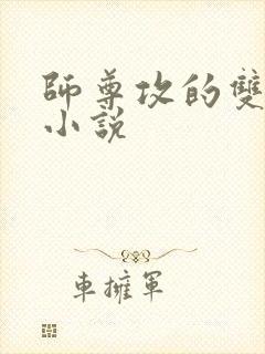 师尊攻的双男主小说