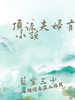 顶流夫妇有点甜 小说