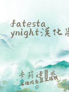 fatestaynight汉化版下载