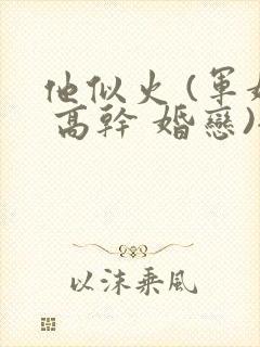 他似火 (军婚 高干 婚恋)全文