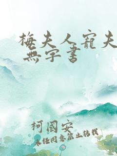 梅夫人宠夫日常 无字书