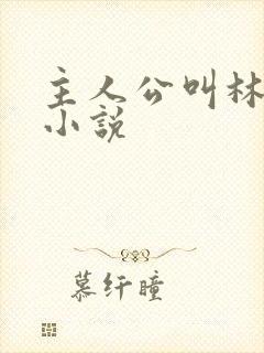 主人公叫林动的小说