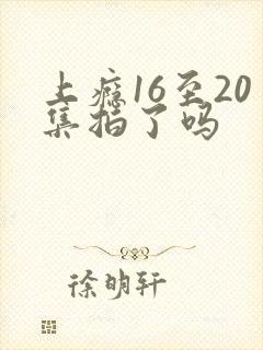 上瘾16至20集拍了吗