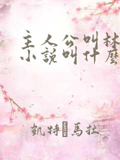 主人公叫林烨的小说叫什么名字