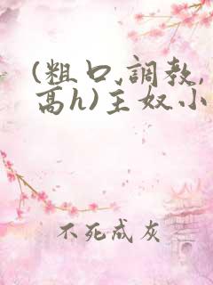 (粗口,调教,高h)主奴小说