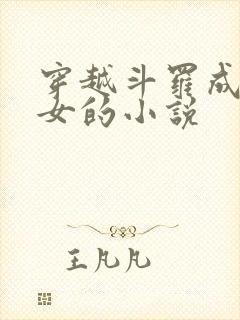 穿越斗罗成为圣女的小说