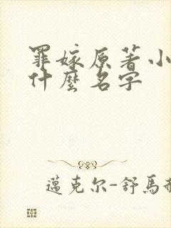 罪嫁原著小说叫什么名字