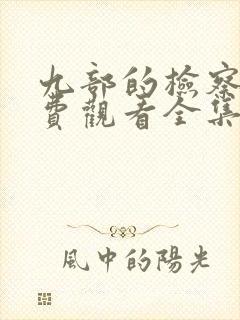 九部的检察官免费观看全集张译