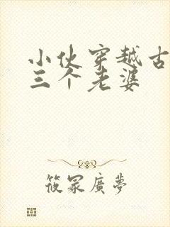 小伙穿越古代娶三个老婆