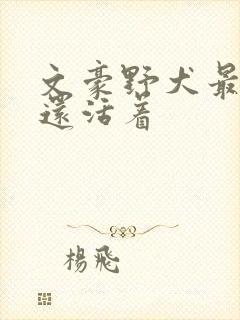 文豪野犬最后谁还活着