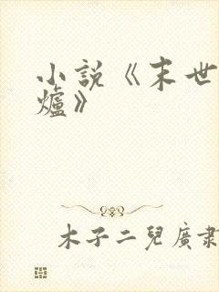 小说《末世大回炉》