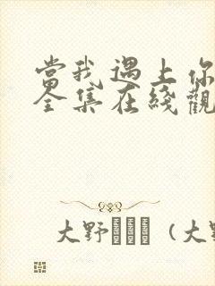 当我遇上你短剧全集在线观看