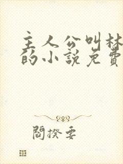 主人公叫林不悔的小说免费阅读