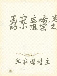 团宠病娇,慕少的小祖宗又凶又撩全文