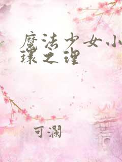 魔法少女小圆圆环之理