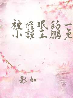 被催眠的一家人小说王鹏免费阅读