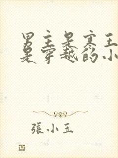 男主是寒王女主是穿越的小说