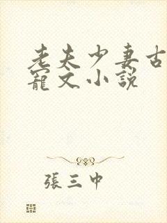 老夫少妻古言甜宠文小说