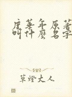 度华年原著小说叫什么名字